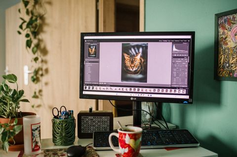 Какие бывают бесплатные программы для дизайна интерьера?